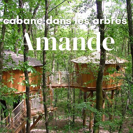 Les Cabanes De Fontfroide Saint-Antoine  Exterior photo