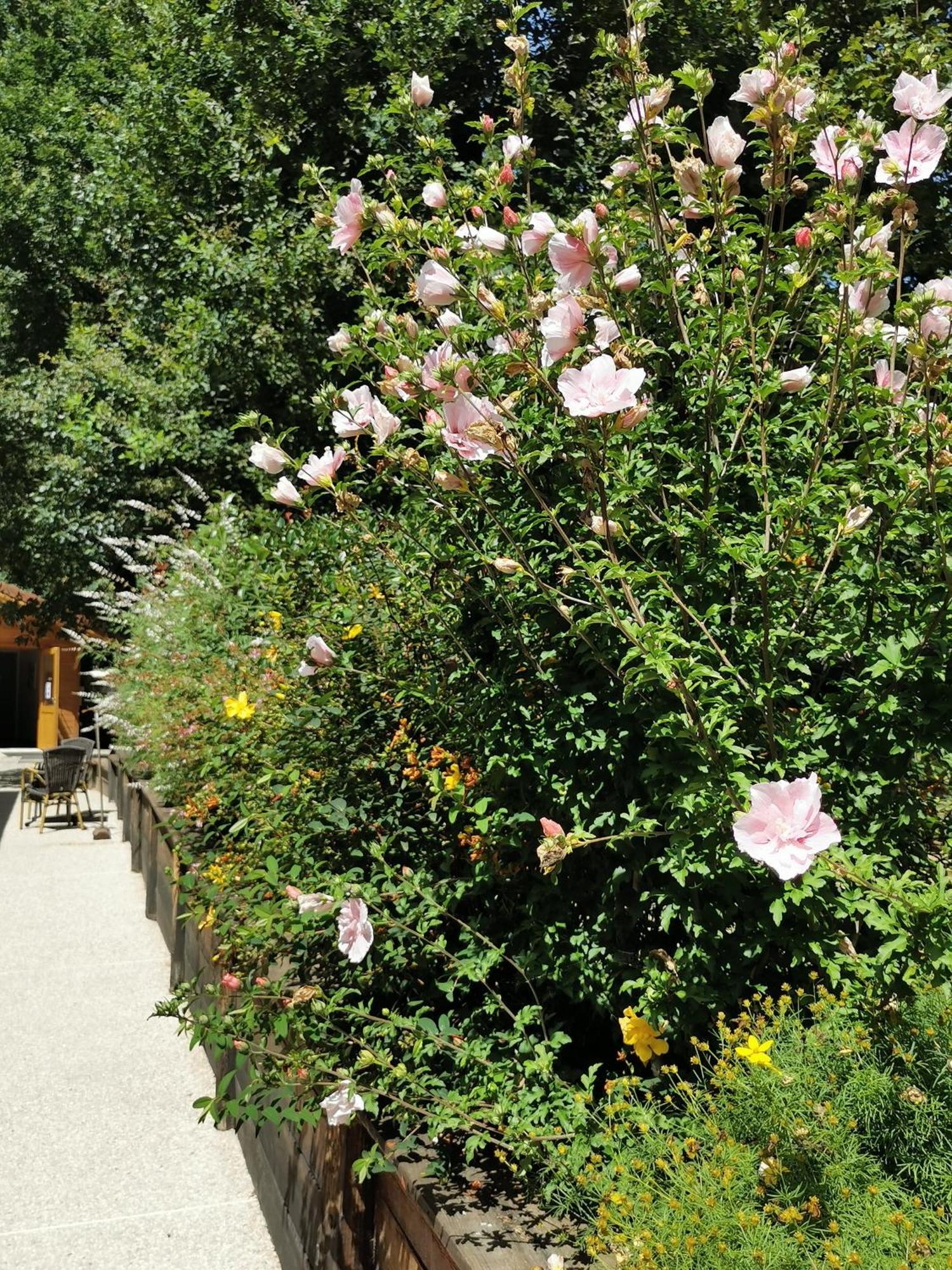 Les Cabanes De Fontfroide Saint-Antoine  Exterior photo